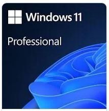 Прогр.Забезп.: Microsoft&reg; FQC-10572 Win 11 Pro 64 bit All Languages ESD 9830100 фото